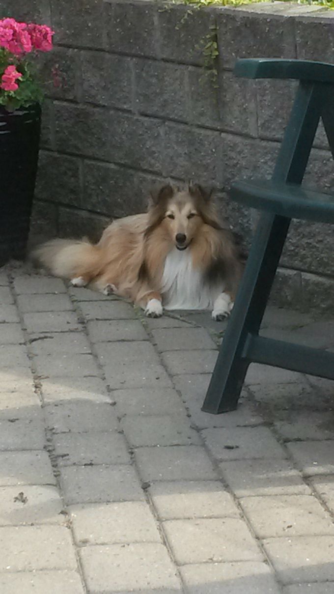 Jenner's Great Poseidon (Louie)