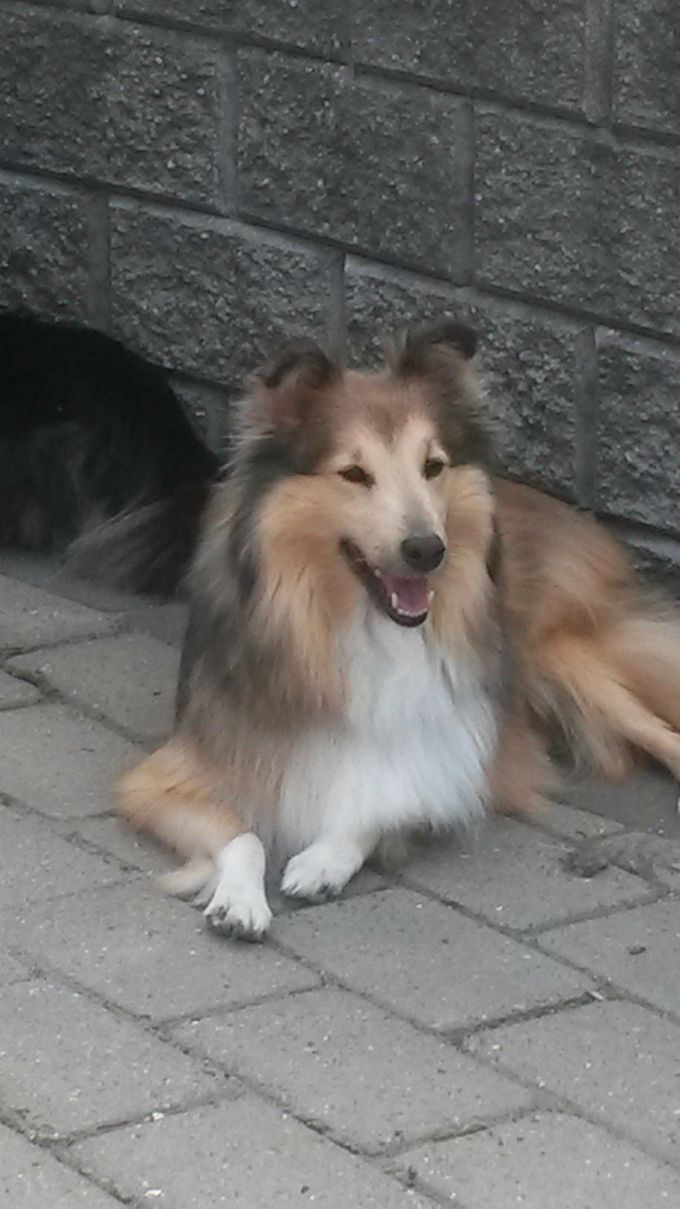 Jenner Tica Dawn  (Tica)