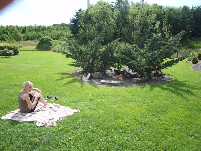 Hygge i haven
