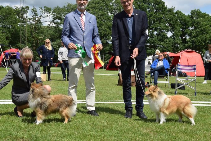 Tak til Anja Stienenbos for de flotte fotos fra Vejen.