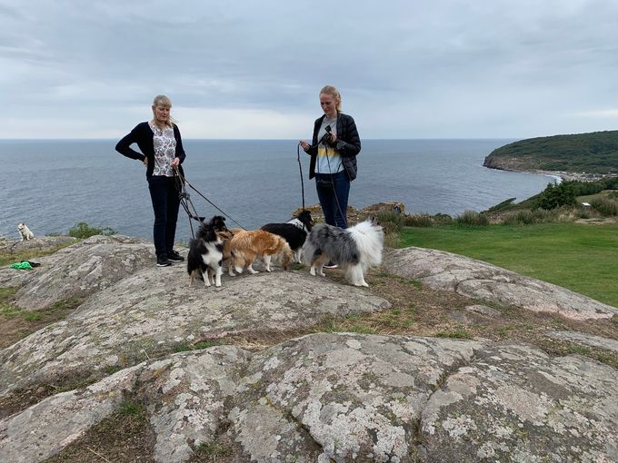 Weekendtur til Bornholm med udstilling og sightseeing august 2019.