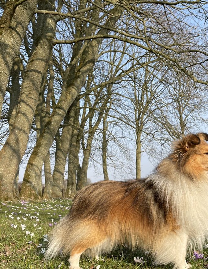 Foto: 22.03.2022. Født: 05.11.2019.
